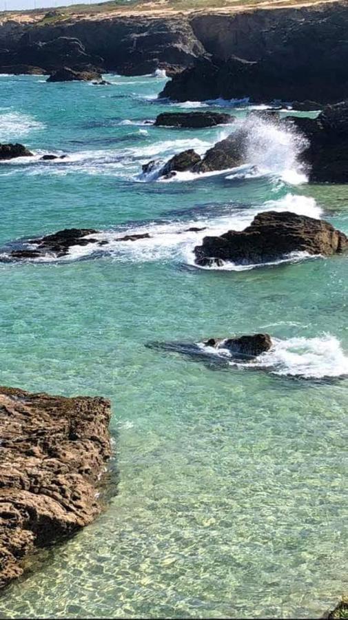Quartos Abelha Porto Covo Exteriör bild